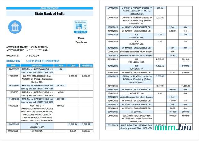 Szablon wyciągu bankowego India State Bank Of India, format Word i PDF, 6 stron